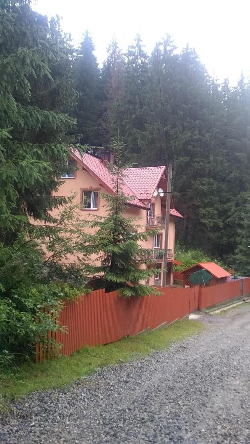 Садиба Срібні Карпати Jablunyzja Exterior foto