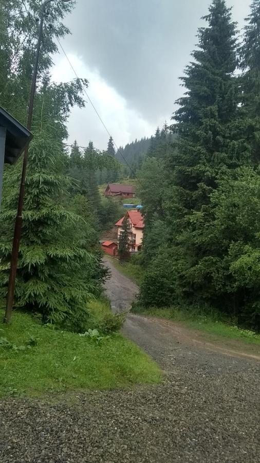 Садиба Срібні Карпати Jablunyzja Exterior foto